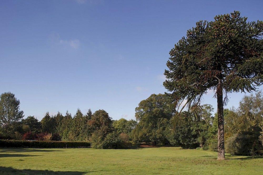 Hotel Woodland Grange Lillington  Zewnętrze zdjęcie